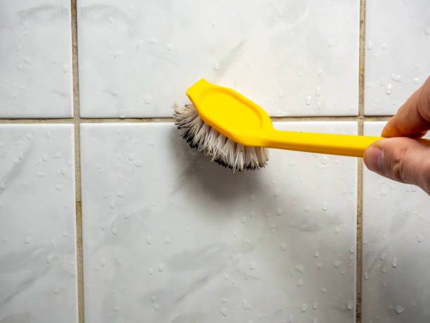 Best Mold Testing and Inspection Services in Rice Lake, WI